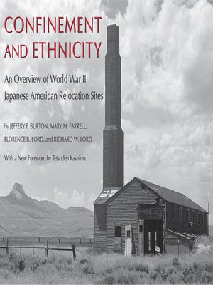 Confinement and Ethnicity - ebook